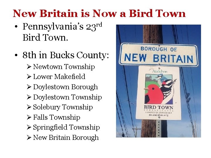 New Britain is Now a Bird Town • Pennsylvania’s 23 rd Bird Town. •