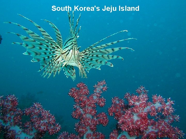 South Korea's Jeju Island 