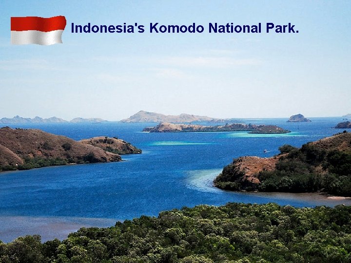 Indonesia's Komodo National Park. 