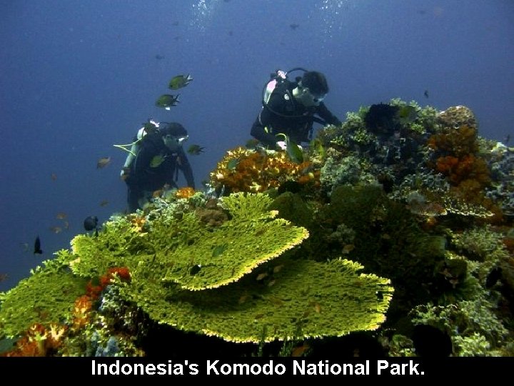 Indonesia's Komodo National Park. 