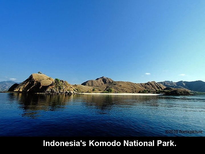 Indonesia's Komodo National Indonesia's Komodo national park. Park. 