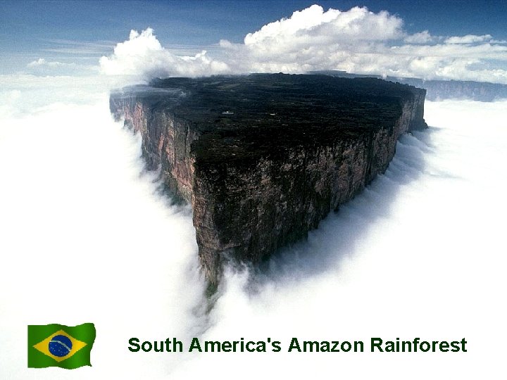 South America's Amazon Rainforest 