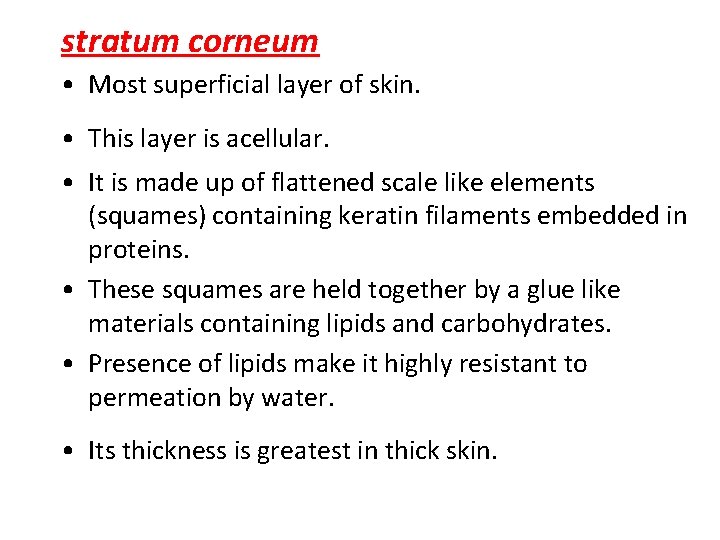 stratum corneum • Most superficial layer of skin. • This layer is acellular. •