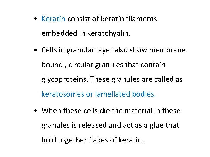  • Keratin consist of keratin filaments embedded in keratohyalin. • Cells in granular