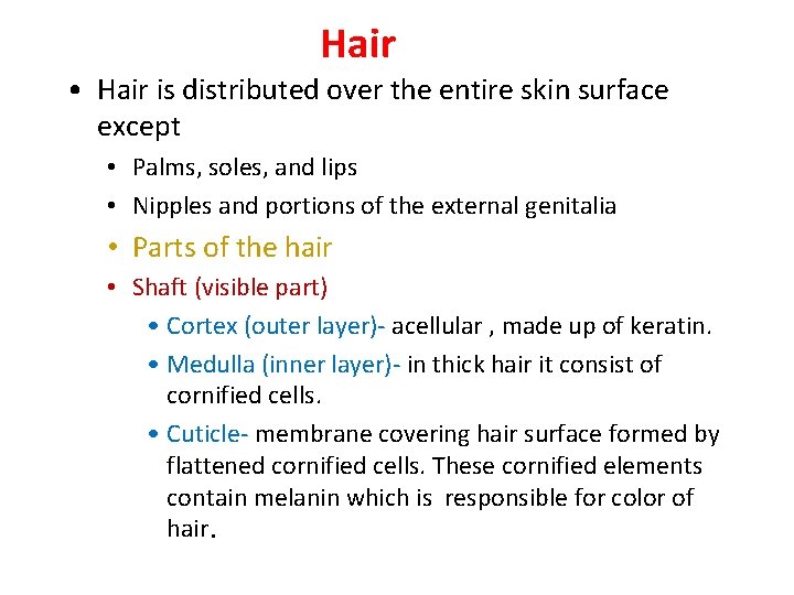 Hair • Hair is distributed over the entire skin surface except • Palms, soles,