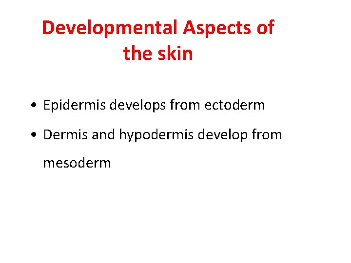 Developmental Aspects of the skin • Epidermis develops from ectoderm • Dermis and hypodermis