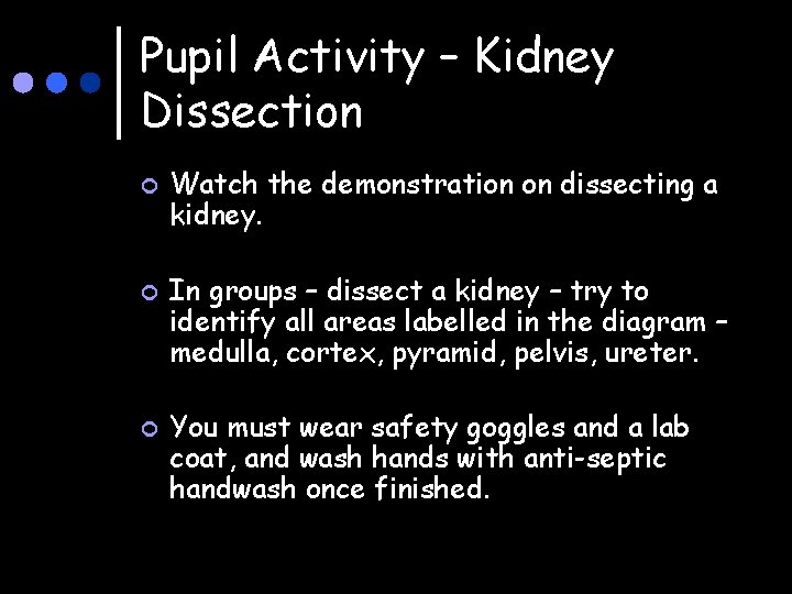 Pupil Activity – Kidney Dissection ¢ ¢ ¢ Watch the demonstration on dissecting a