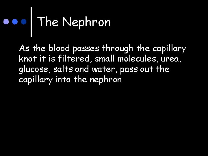 The Nephron As the blood passes through the capillary knot it is filtered, small