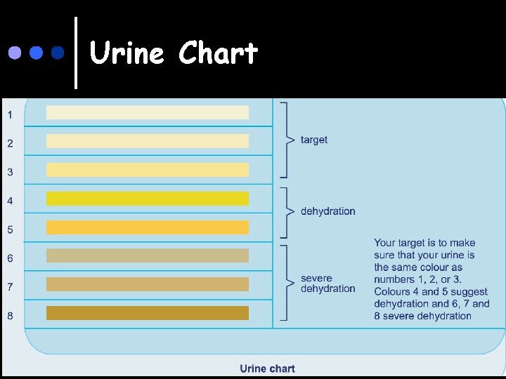 Urine Chart 