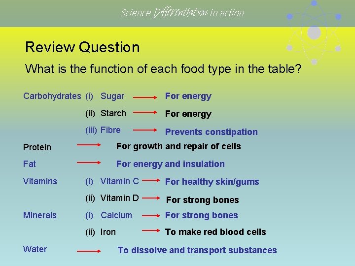 Science Differentiation in action Review Question What is the function of each food type