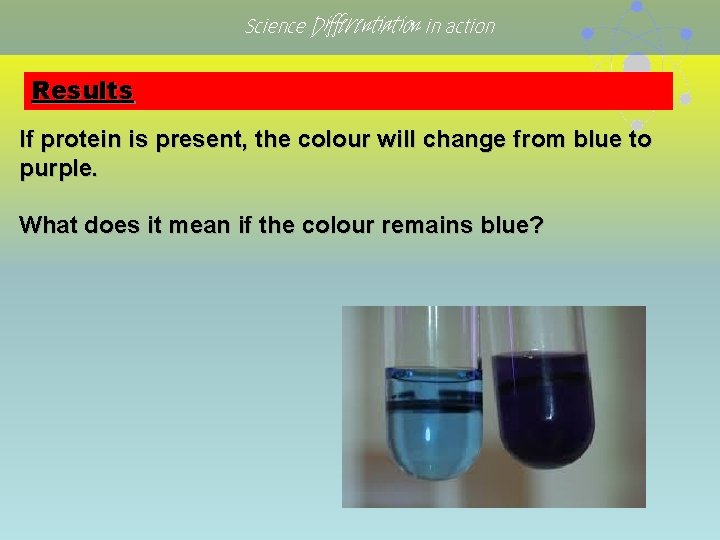 Science Differentiation in action Results If protein is present, the colour will change from