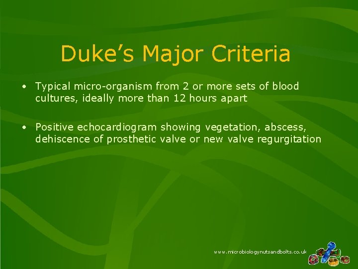 Duke’s Major Criteria Typical micro-organism from 2 or more sets of blood cultures, ideally Duke’s Major Criteria Typical micro-organism from 2 or more sets of blood cultures, ideally