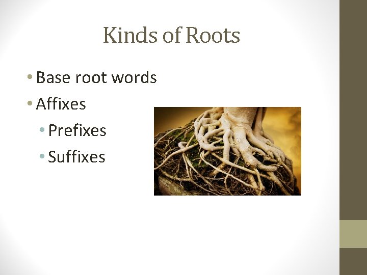 Kinds of Roots • Base root words • Affixes • Prefixes • Suffixes 