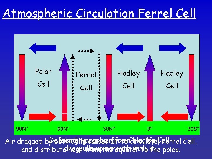 Atmospheric Circulation Ferrel Cell Polar Cell 90 N° 60 N° Ferrel Hadley Cell 30