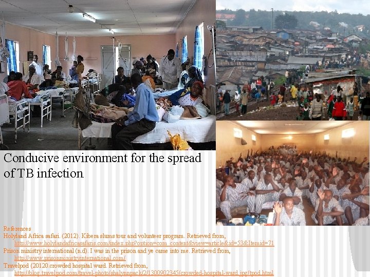 s Conducive environment for the spread of TB infection. References Holyland Africa safari. (2012).