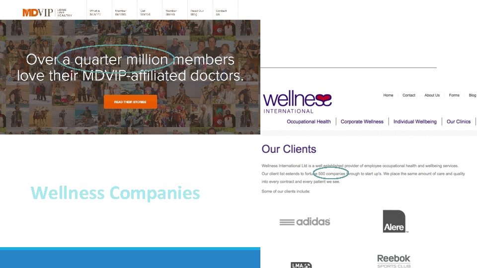 Wellness Companies 