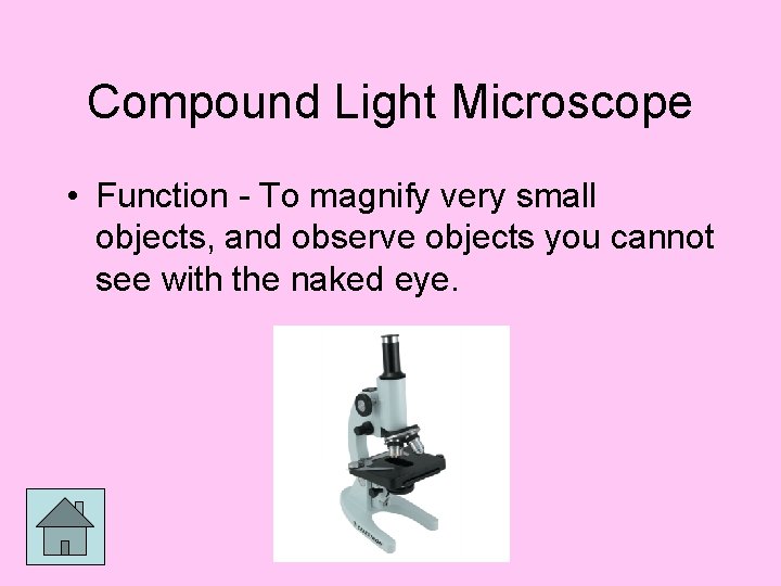 Compound Light Microscope • Function - To magnify very small objects, and observe objects