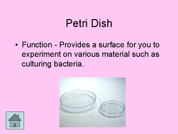 Petri Dish • Function - Provides a surface for you to experiment on various