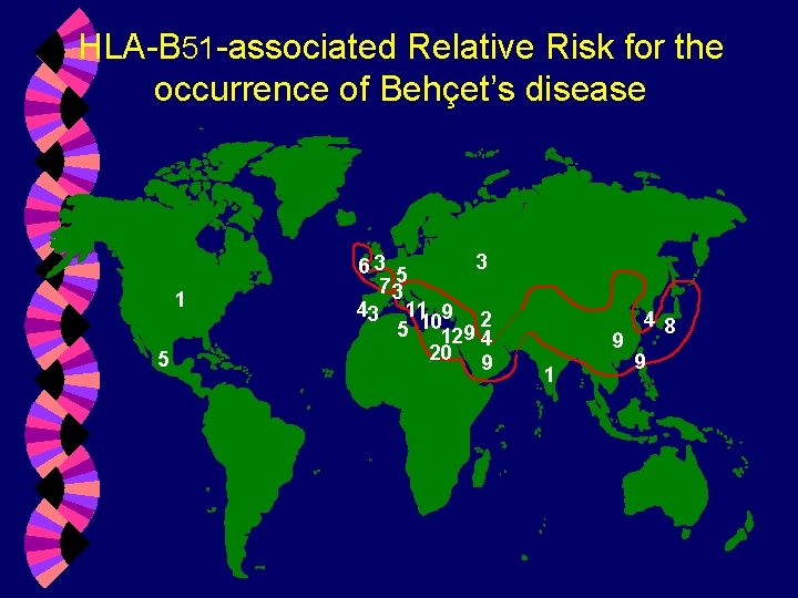 HLA-B 51 -associated Relative Risk for the occurrence of Behçet’s disease 1 5 3