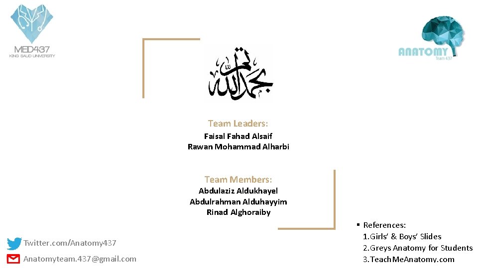 Team Leaders: Faisal Fahad Alsaif Rawan Mohammad Alharbi Team Members: Abdulaziz Aldukhayel Abdulrahman Alduhayyim
