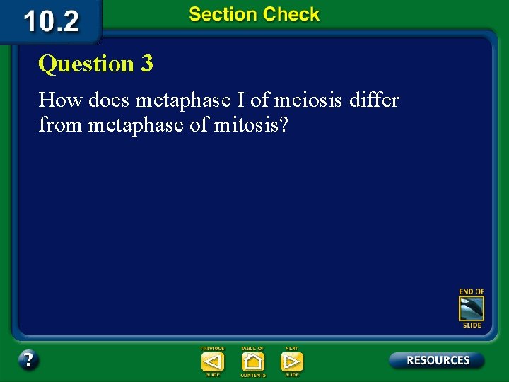 Question 3 How does metaphase I of meiosis differ from metaphase of mitosis? 