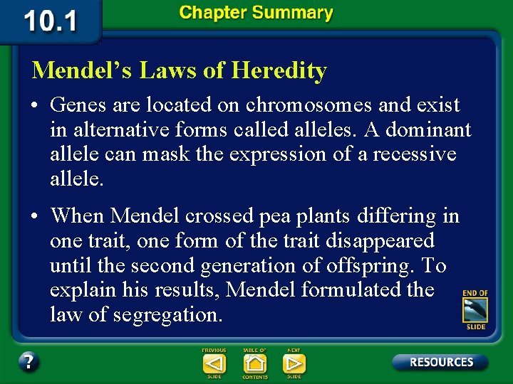 Mendel’s Laws of Heredity • Genes are located on chromosomes and exist in alternative