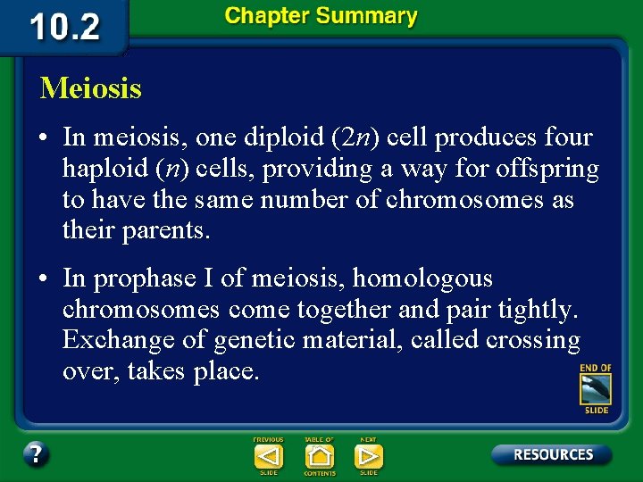 Meiosis • In meiosis, one diploid (2 n) cell produces four haploid (n) cells,