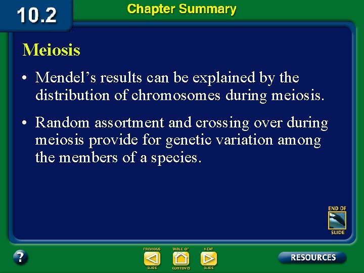 Meiosis • Mendel’s results can be explained by the distribution of chromosomes during meiosis.