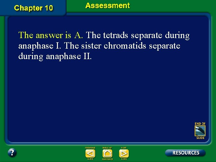 The answer is A. The tetrads separate during anaphase I. The sister chromatids separate