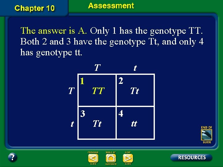The answer is A. Only 1 has the genotype TT. Both 2 and 3