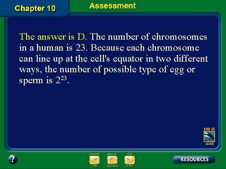 The answer is D. The number of chromosomes in a human is 23. Because