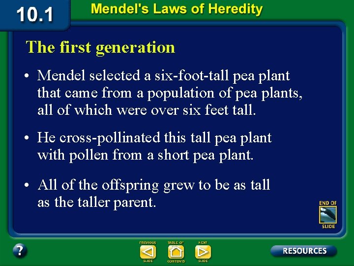 The first generation • Mendel selected a six-foot-tall pea plant that came from a