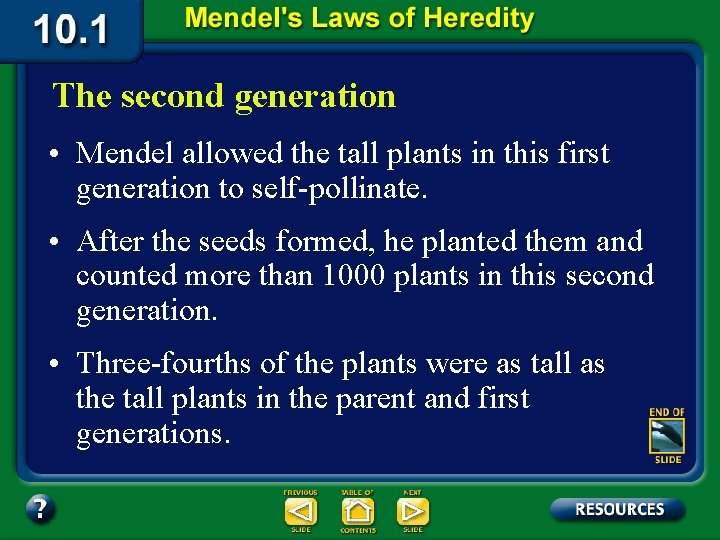 The second generation • Mendel allowed the tall plants in this first generation to