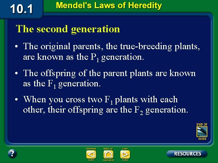 The second generation • The original parents, the true-breeding plants, are known as the