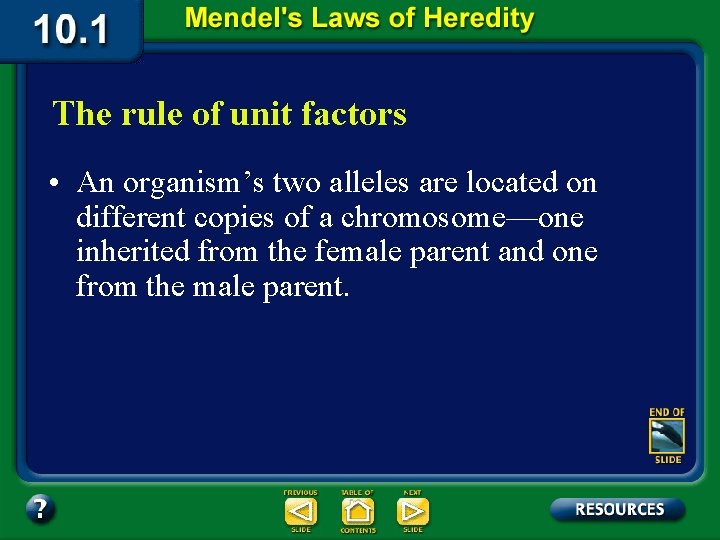 The rule of unit factors • An organism’s two alleles are located on different