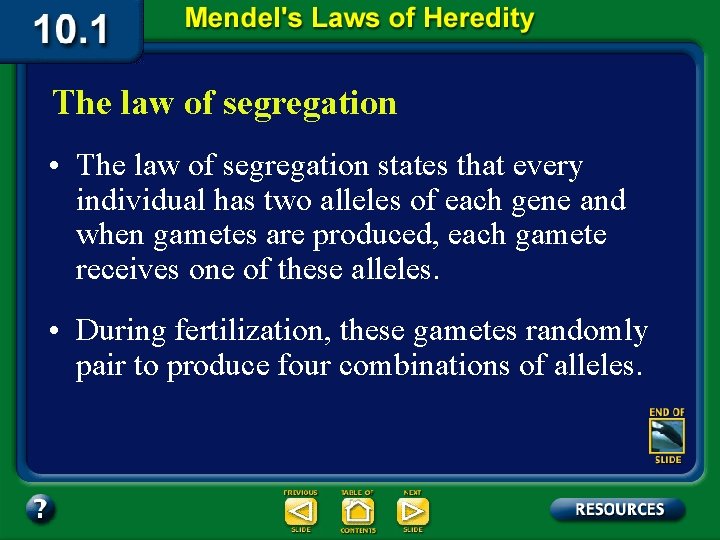 The law of segregation • The law of segregation states that every individual has