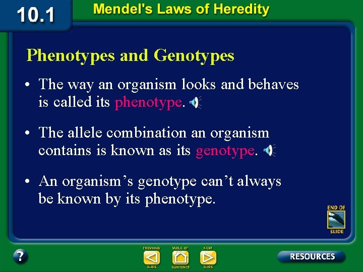 Phenotypes and Genotypes • The way an organism looks and behaves is called its