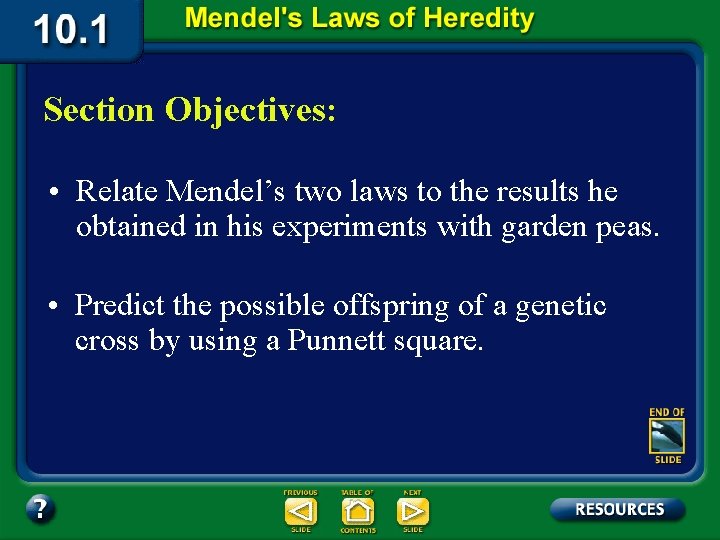 Section Objectives: • Relate Mendel’s two laws to the results he obtained in his