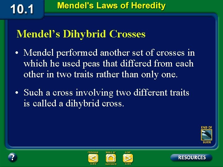 Mendel’s Dihybrid Crosses • Mendel performed another set of crosses in which he used