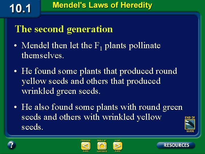 The second generation • Mendel then let the F 1 plants pollinate themselves. •