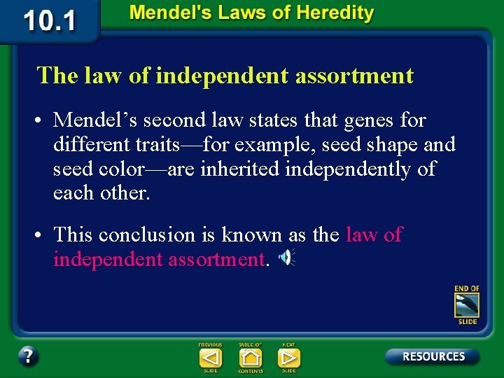 The law of independent assortment • Mendel’s second law states that genes for different