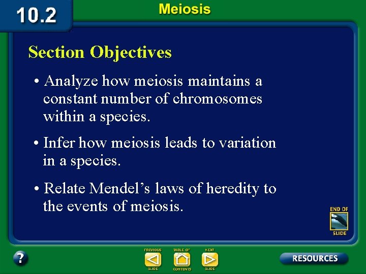 Section Objectives • Analyze how meiosis maintains a constant number of chromosomes within a