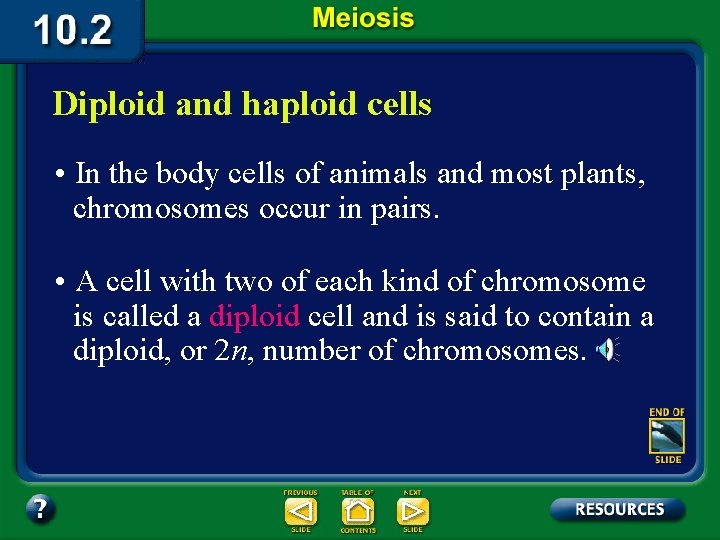Diploid and haploid cells • In the body cells of animals and most plants,