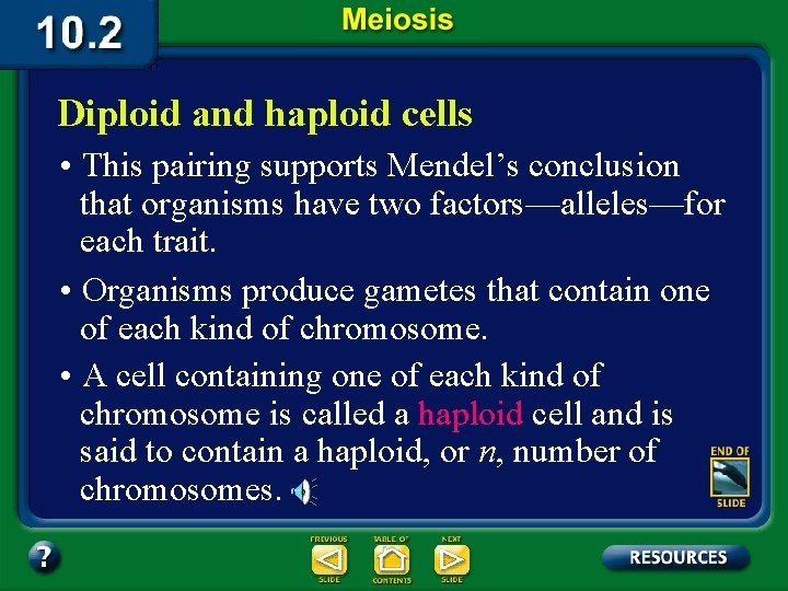 Diploid and haploid cells • This pairing supports Mendel’s conclusion that organisms have two
