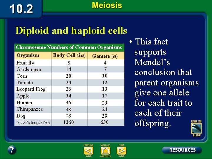 Diploid and haploid cells Chromosome Numbers of Common Organisms Organism Body Cell (2 n)