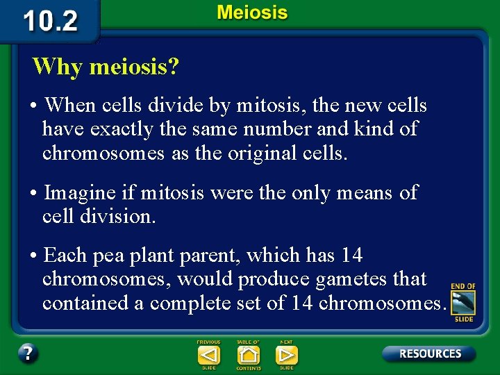 Why meiosis? • When cells divide by mitosis, the new cells have exactly the