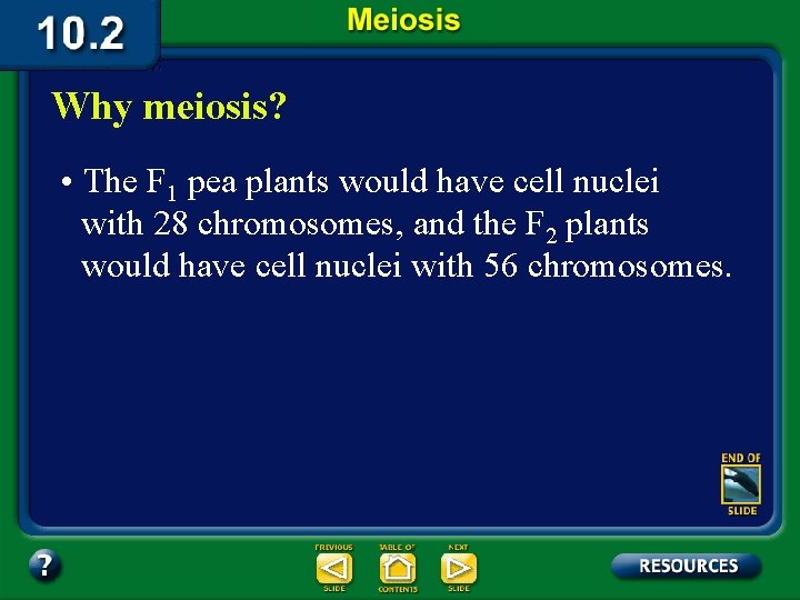 Why meiosis? • The F 1 pea plants would have cell nuclei with 28