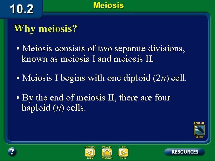 Why meiosis? • Meiosis consists of two separate divisions, known as meiosis I and