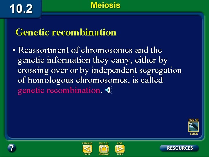 Genetic recombination • Reassortment of chromosomes and the genetic information they carry, either by