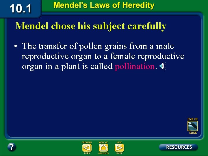 Mendel chose his subject carefully • The transfer of pollen grains from a male